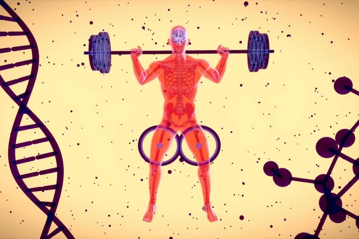 The History of Fitness and Conditioningg